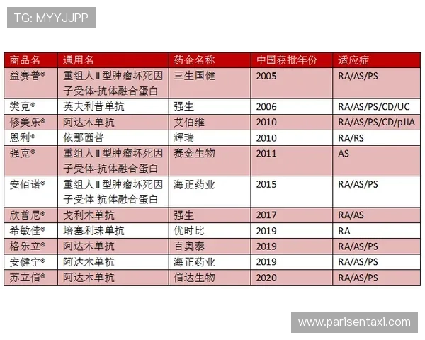 全面解析竟咪百家乐的规则与技巧让玩家轻松掌握赢取胜利的关键策略